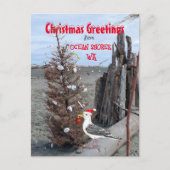 Ocean Shores WA Kerstmis Beach Driftwood Feestdagenkaart (Voorkant)