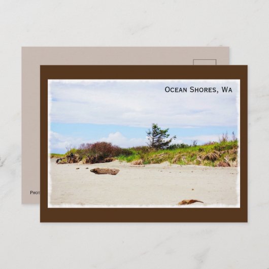 Ocean Shores, Washington Briefkaart (Voorkant / Achterkant)