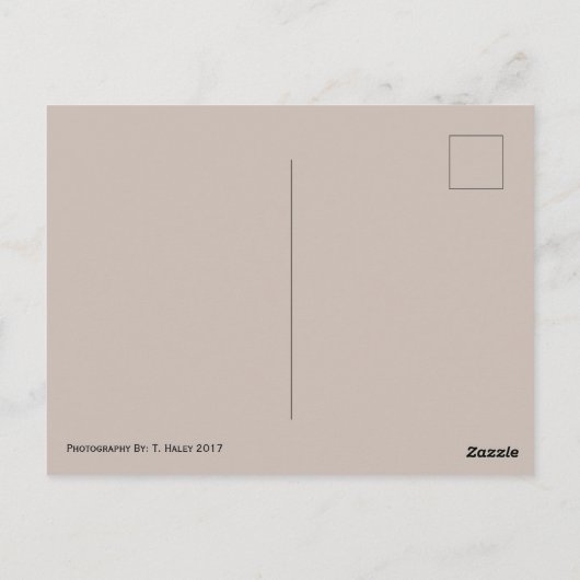 Ocean Shores, Washington Briefkaart (Achterkant)