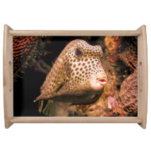 Ocean Theme Large Serving Tray