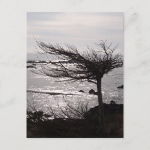 Ocean Tree Bijbel Verse-bemoedigingskaart Kaart