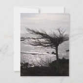 Ocean Tree Bijbel Verse-bemoedigingskaart Kaart (Voorkant)