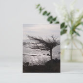 Ocean Tree Bijbel Verse-bemoedigingskaart Kaart (Staand voorkant)