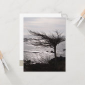 Ocean Tree Bijbel Verse-bemoedigingskaart Kaart (Voorkant / Achterkant in situ)