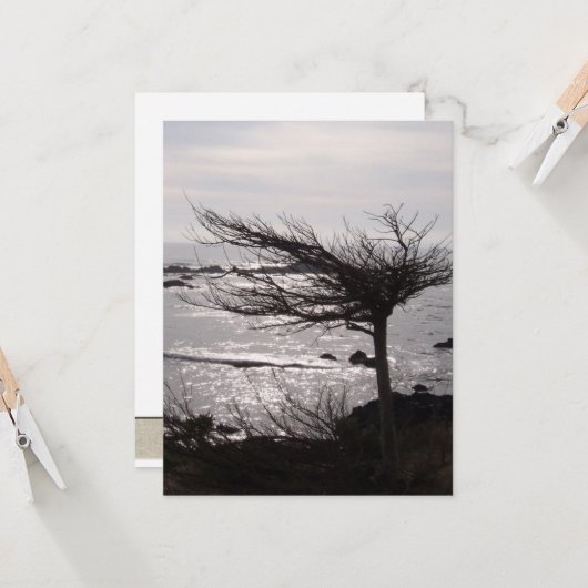 Ocean Tree Bijbel Verse-bemoedigingskaart Kaart (Voorkant / Achterkant in situ)
