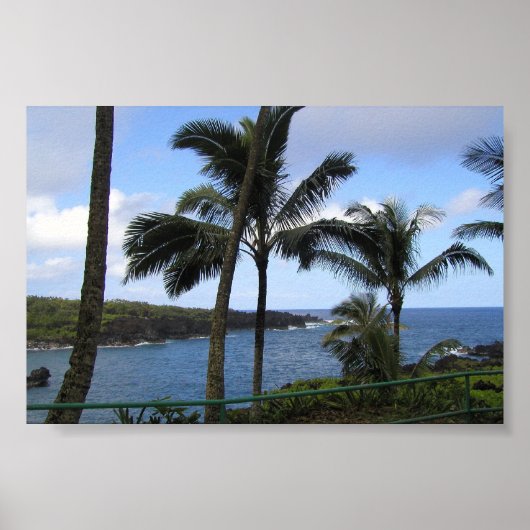 Ocean Uitzicht Hawaiian Island Maui Poster (Voorkant)