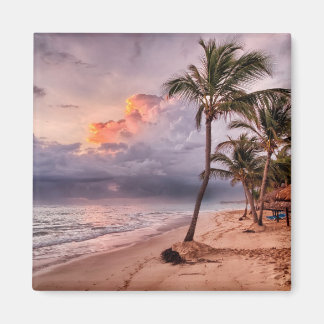 Ocean Waves Sandy Beach Sunset Magneet