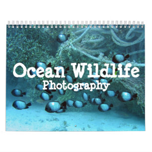 Ocean Wildlife fotografie Agenda Kalender