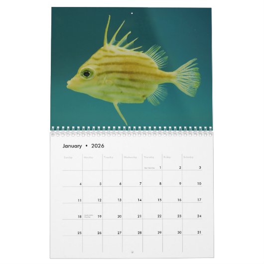 Ocean Wildlife fotografie Agenda Kalender (Jan 2026)