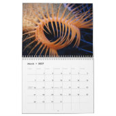 Ocean Wildlife fotografie Agenda Kalender (Mar 2027)