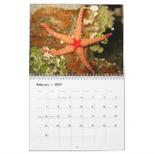 Ocean Wildlife fotografie Agenda Kalender (Feb 2027)