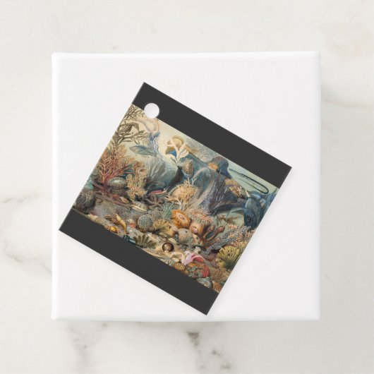 Ocean World, onder het Zee, nicht Bedankjes Labels (In situ)