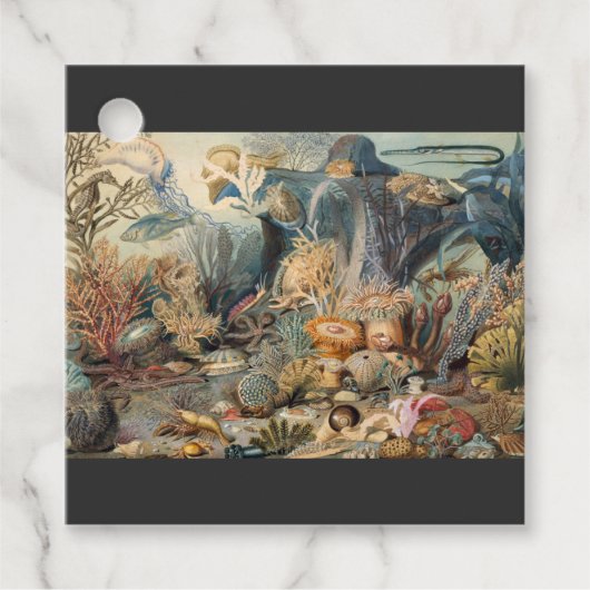 Ocean World, onder het Zee, nicht Bedankjes Labels (Voorkant)