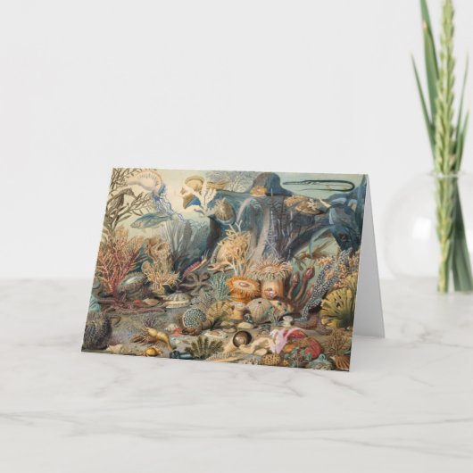 Ocean World, onder het Zee, nicht Bedankkaart (Voorkant)