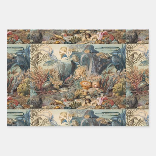 Ocean World, onder het Zee, nicht Inpakpapier Vel (Voorkant 2)