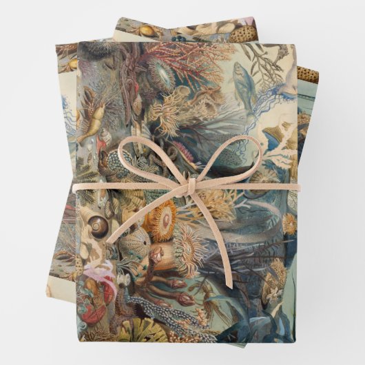 Ocean World, onder het Zee, nicht Inpakpapier Vel (In situ)