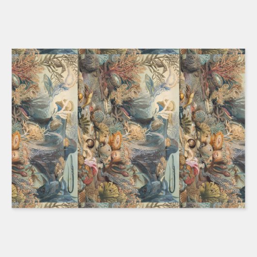 Ocean World, onder het Zee, nicht Inpakpapier Vel (Voorkant)