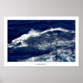 Oceana 6314 poster (Voorkant)