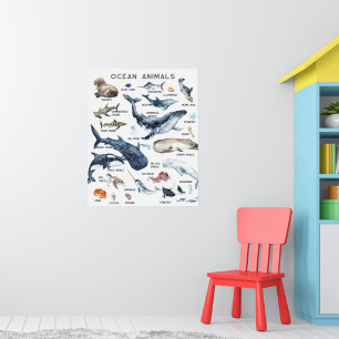 Oceandieren   Onderwijs Leermateriaal Klaslokaal Poster
