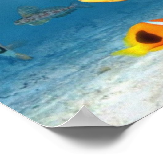 oceanen van vis poster (Hoek)