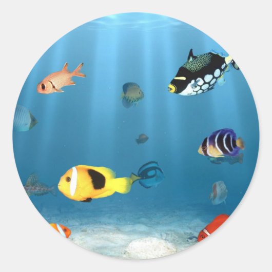 oceanen van vis ronde sticker (Voorkant)