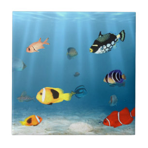 oceanen van vis tegeltje