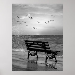 Oceanfront Bench met meeuwen bij zonsondergang Poster