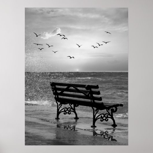 Oceanfront Bench met meeuwen bij zonsondergang Poster (Voorkant)