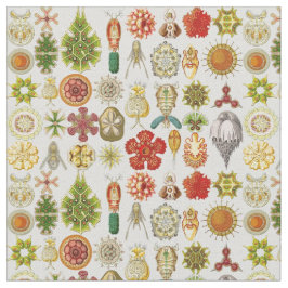 Oceanic Wonders van Ernst Haeckel Stof