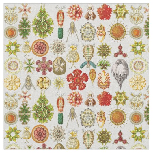 Oceanic Wonders van Ernst Haeckel Stof (Close Up)
