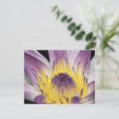 Oceanië, Fiji, Paarse Panama Pacifica Nymphea Briefkaart (Staand voorkant)