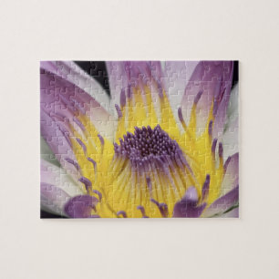 Oceanië, Fiji, Paarse Panama Pacifica Nymphea Legpuzzel