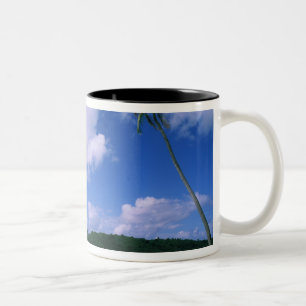 Oceanië, Frans-Polynesië, Tahiti. Uitzicht op Tweekleurige Koffiemok