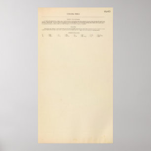 Oceanië Fysieke Legende 16263 Poster