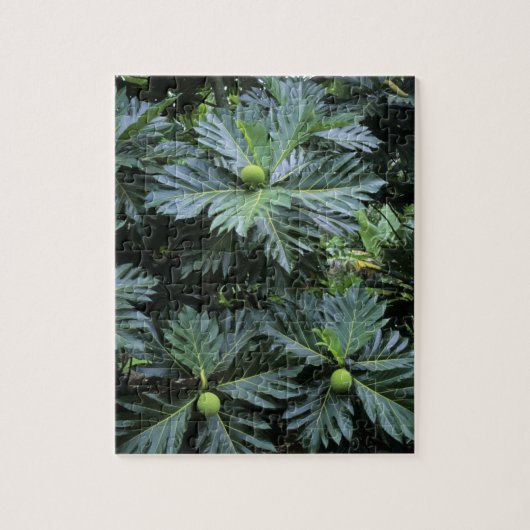 Oceanië, het zuidelijke deel van de Stille Oceaan, Legpuzzel (Verticaal)