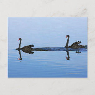 Oceanië, Nieuw-Zeeland, Zuid-eiland, Hokitika - Briefkaart