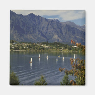 Oceanië, Nieuw-Zeeland, Zuidereiland, Queenstown. Magneet