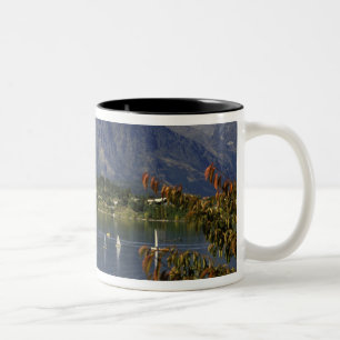 Oceanië, Nieuw-Zeeland, Zuidereiland, Queenstown. Tweekleurige Koffiemok