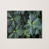 Oceanië, Zuid-Pacific, Frans-Polynesië, Legpuzzel (Horizontaal)