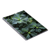 Oceanië, Zuid-Pacific, Frans-Polynesië, Notitieboek (Rechterzijde)