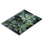 Oceanië, Zuid-Pacific, Frans-Polynesië, Notitieboek (Linkerzijde)