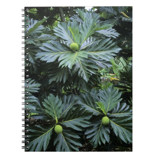 Oceanië, Zuid-Pacific, Frans-Polynesië, Notitieboek (Voorkant)