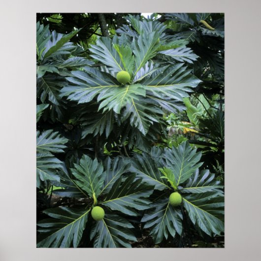 Oceanië, Zuid-Pacific, Frans-Polynesië, Poster (Voorkant)