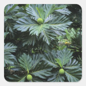Oceanië, Zuid-Pacific, Frans-Polynesië, Vierkante Sticker (Voorkant)