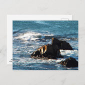 Oceano Beach Briefkaart (Voorkant / Achterkant)