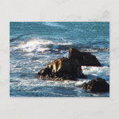 Oceano Beach met Rocks California Briefkaart (Voorkant)