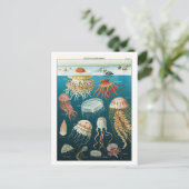  Oceanografie Jellyfish Poster Briefkaart (Staand voorkant)