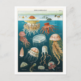  Oceanografie Jellyfish Poster Briefkaart