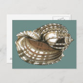 Ocean's Jewel Briefkaart (Voorkant / Achterkant)