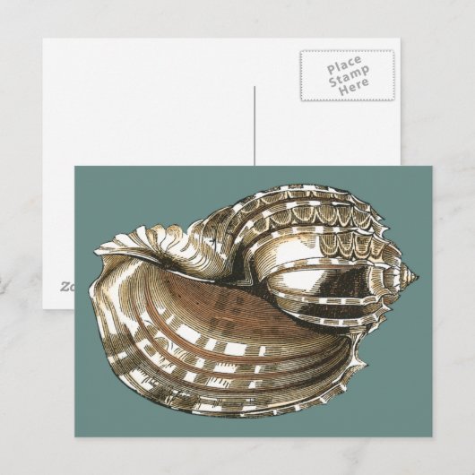 Ocean's Jewel Briefkaart (Voorkant / Achterkant)